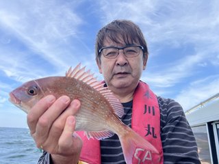 マダイ