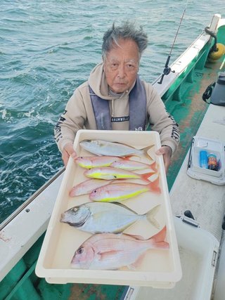 マダイ