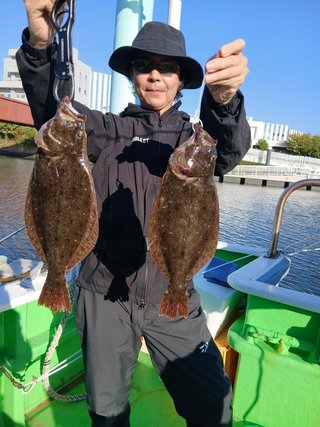マゴチ