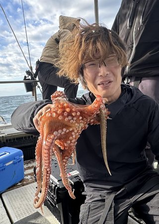 マダコ