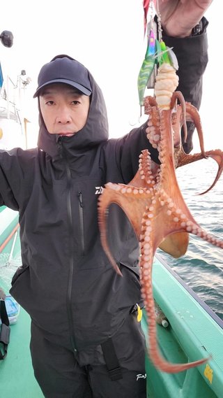 タコ