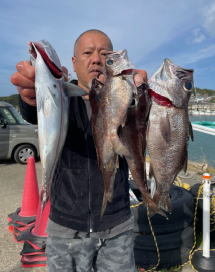 ハチビキ