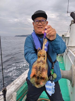 アオリイカ