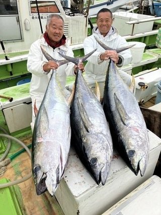 キハダマグロ