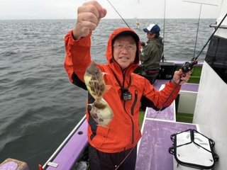 カワハギ