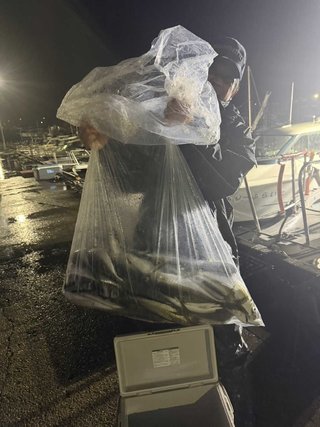 アジ