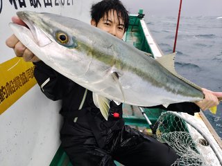 ブリ