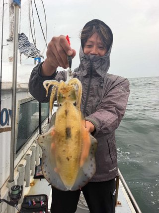 アオリイカ