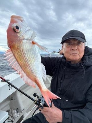 アオハタ