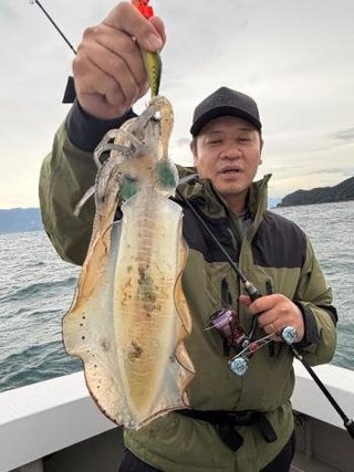 アオリイカ