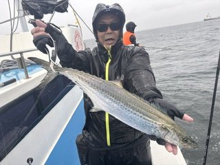 サワラ