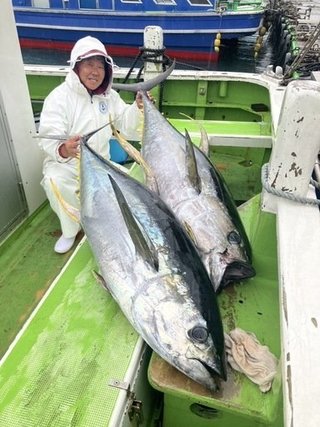 キハダマグロ