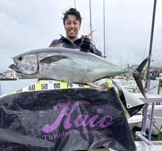 キハダマグロ