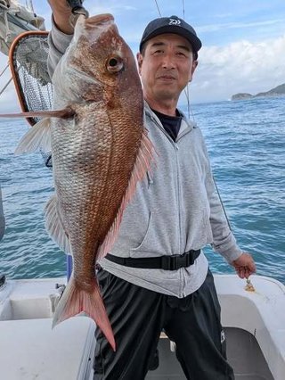 アオリイカ