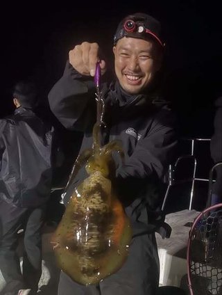 アオリイカ