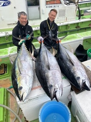 キハダマグロ