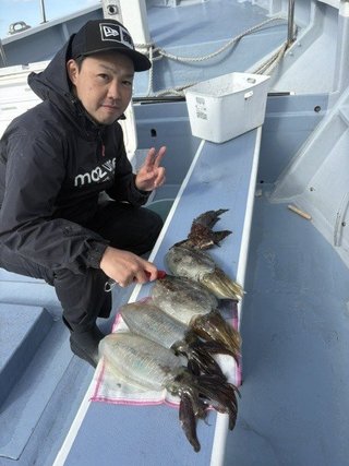 アオリイカ