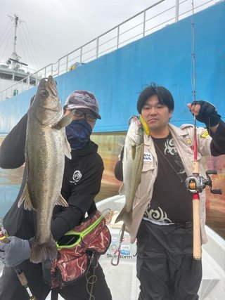シーバス