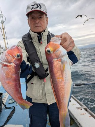 アマダイ