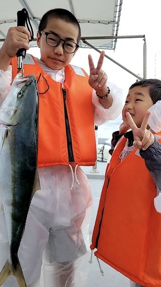 ハマチ