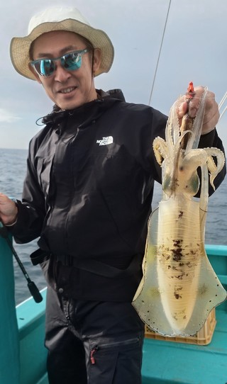 アオリイカ