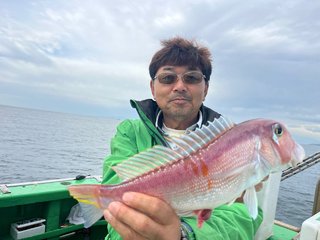 アマダイ