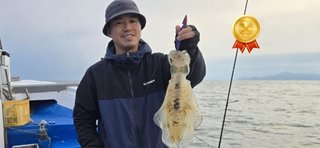 アオリイカ