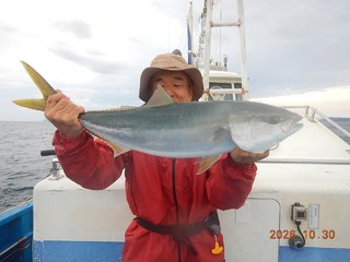 マダイ