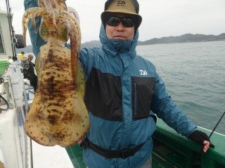 アオリイカ