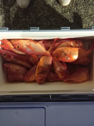 キンメ