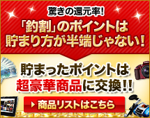 �ä��δԸ�Ψ�������פΥݥ���Ȥ����ޤ�����Ⱦü����ʤ������ޤä��ݥ���Ȥ�Ķ��ھ��ʤ˸򴹡���[�����ʥꥹ�ȤϤ�����]