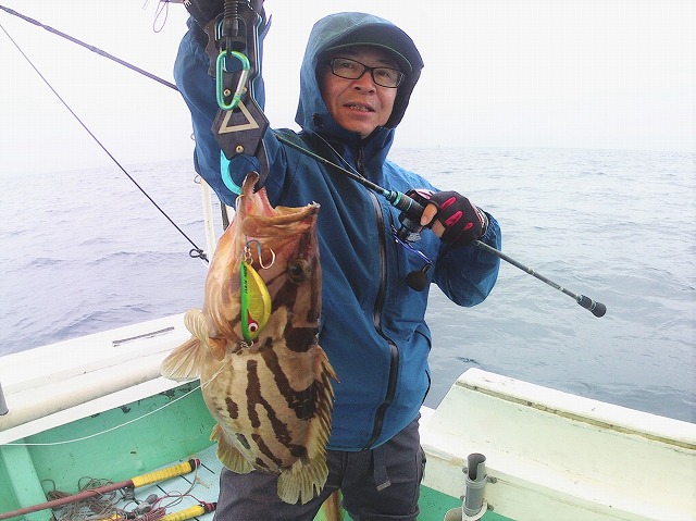 多種多様なターゲットが狙える 平日便 ロックフィッシュ釣りプラン 美丸 みまる 海釣り 釣り船予約サイト 釣割