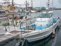 �狼������POLARIS