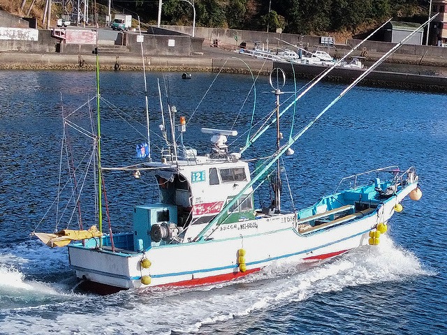 二十一さかぐち丸（三重）公式船釣り予約「24時間受付・特別割引
