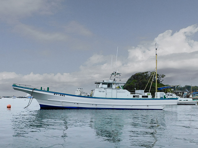 三浦半島 神奈川県 アオリイカが釣れる釣り船 格安ランキング 22年11月版