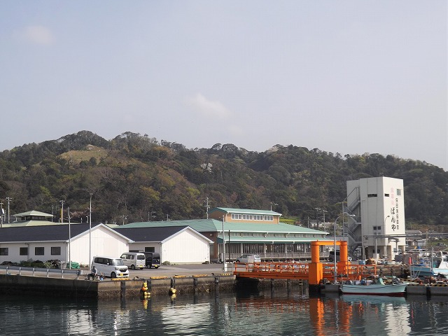 弥生丸 公式予約 釣割 最安値保証 千葉県安房郡鋸南町保田港