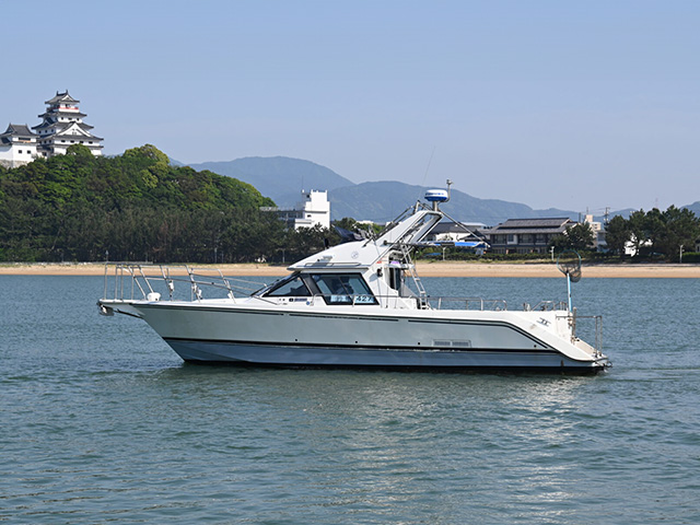 イエローテイル（唐津市／唐津港）