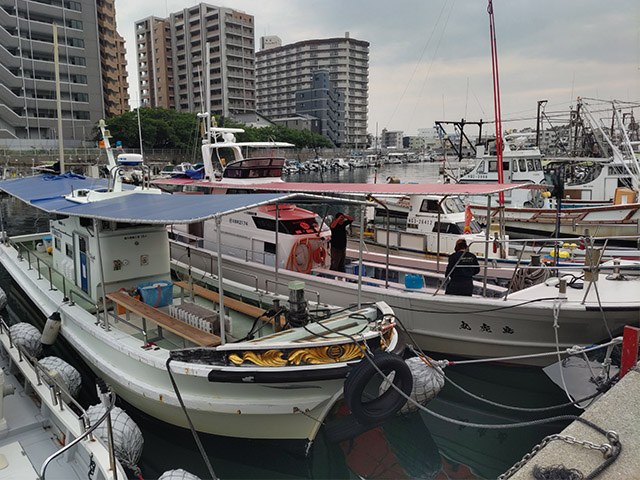 島虎丸(明石市/明石港)