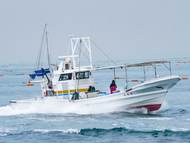 釣り船まるかつ（淡路市／育波漁港）