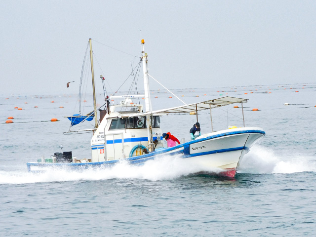 ミツヤ丸（淡路市／育波漁港）