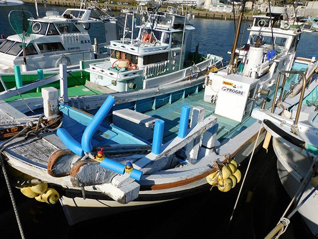 ガルフ（福岡市／弘漁港）