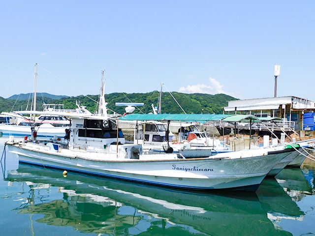 Taniguchimaru（和歌山市／加太港）